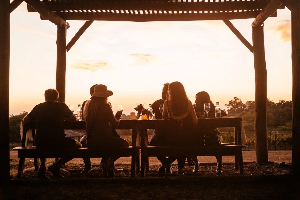 Al llegar a Gamboa los recibimos con una copa de espumante. Nuestro guía los acompaña a recorrer la viña por los puntos clave, contando historia y particularidades del terroir. Durante el trayecto degustaran 2 vinos. Llegan a la bodega atravesando un sendero de bosque. Ingresan a Bodega Gamboa donde les contamos qué vinos elaboramos y cómo lo hacemos,