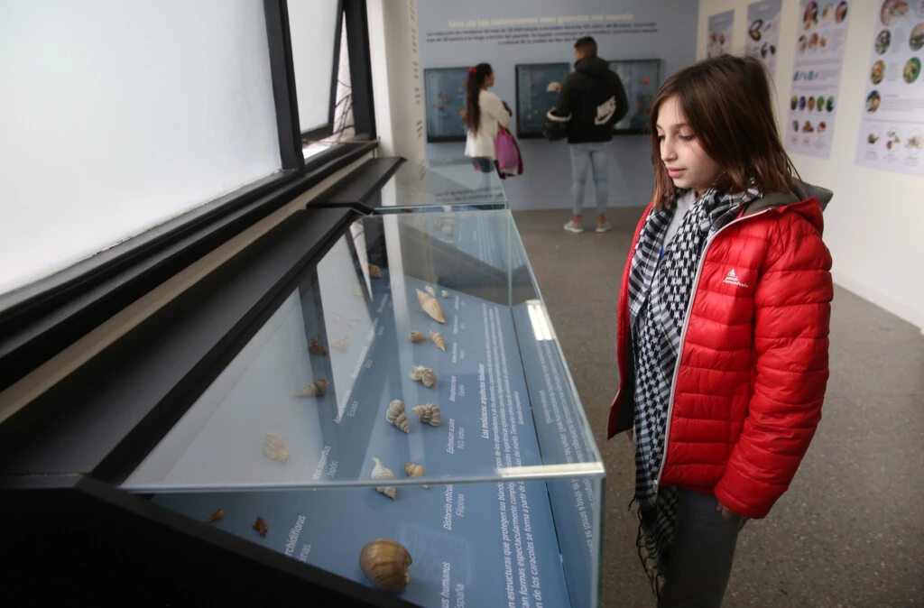 Museo Municipal de Ciencias Naturales Lorenzo Scaglia.