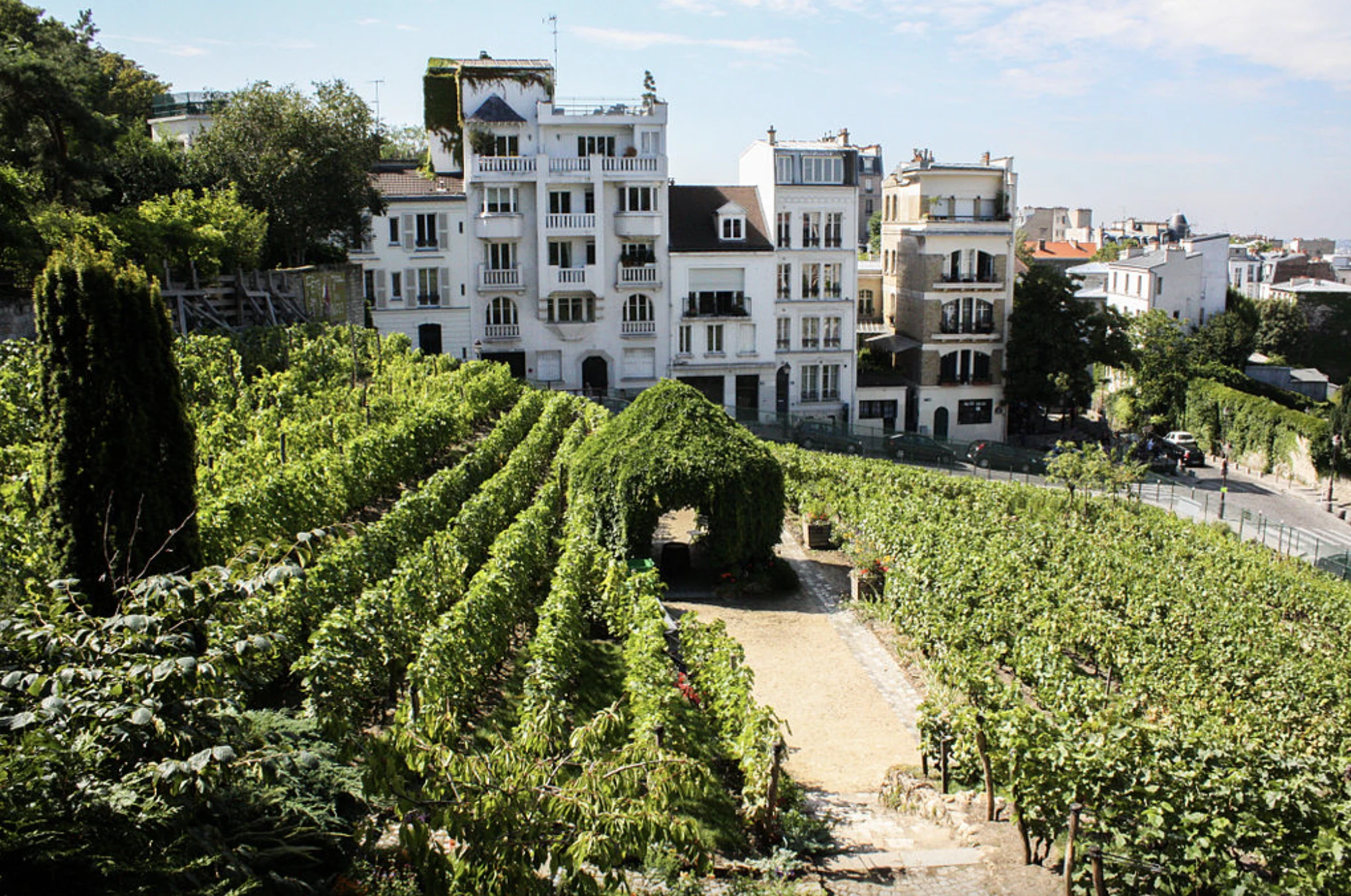 Clos Montmartre, París.