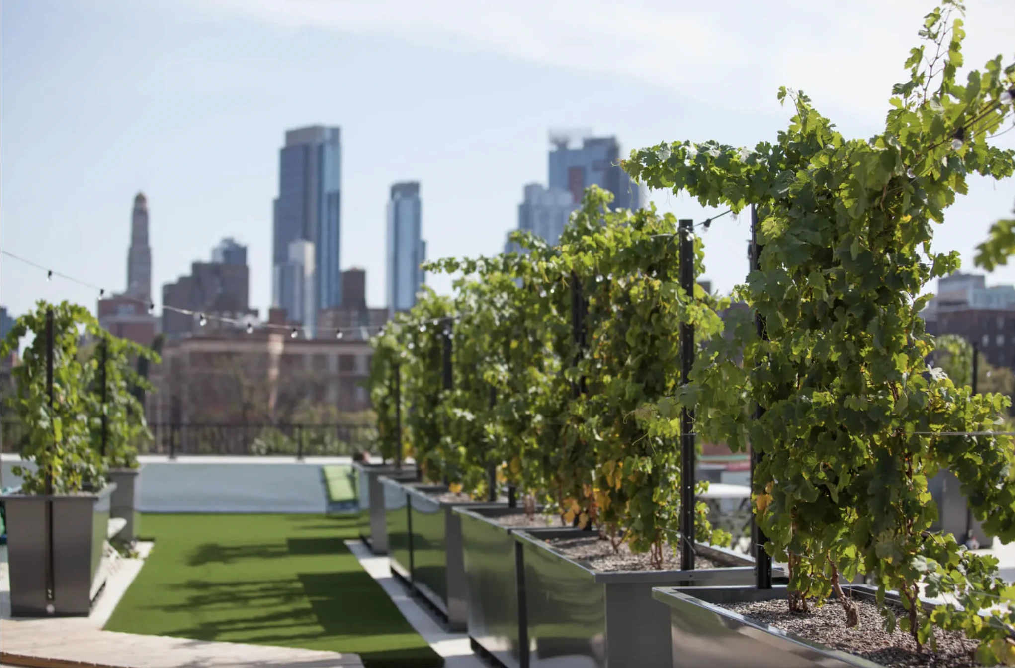Rooftop Reds en Nueva York.