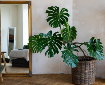 Decorar con espejos: los trucos para agrandar y dar luz a cualquier ambiente