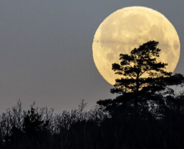 El horóscopo de la semana y sus predicciones: cómo influye Luna en apogeo en cada uno de los signos del zodíaco