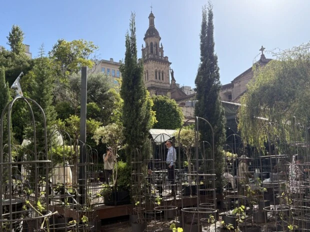 viñedo urbano hotel intercontinental