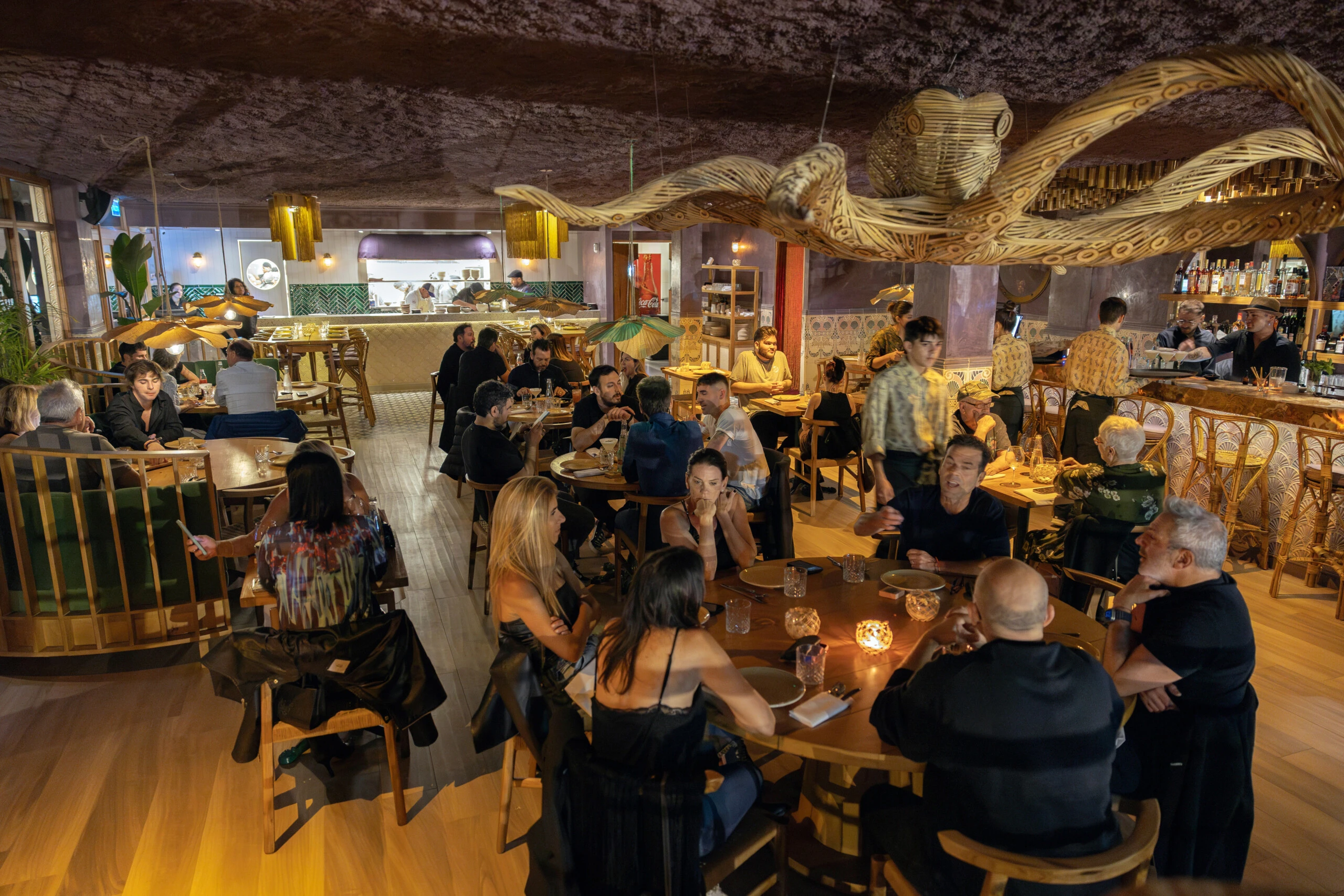 Tigre Morado Nordelta.