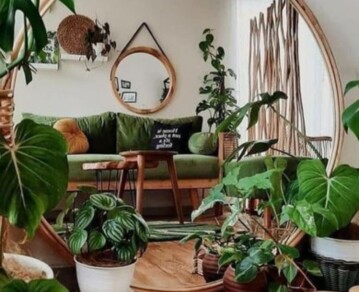 Detalles que transforman un ambiente: cómo usar espejos, cuadros y plantas para renovar tu casa