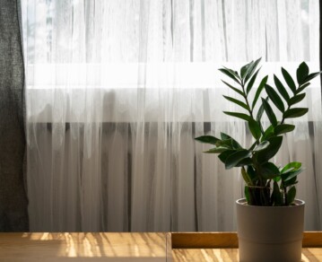 Cómo eliminar la humedad y el olor a encierro con métodos naturales y efectivos