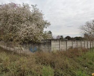 La estremecedora hipótesis sobre la pareja hallada sin vida en un descampado de Salta
