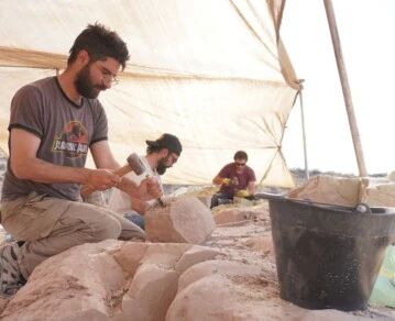 stream paleontológico, Expedición Cretácica I 2025, LACEV