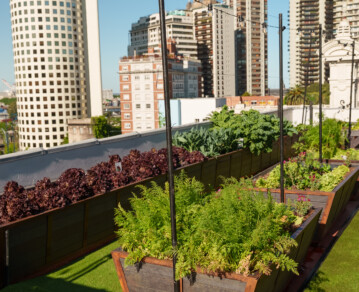 Cómo es la huerta que se encuentra sobre una de las mansiones más famosas de Recoleta y cuyos vegetales llegan a los platos de las celebrities