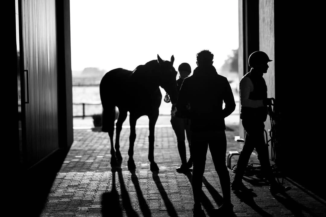La equitación en Montana Farm.