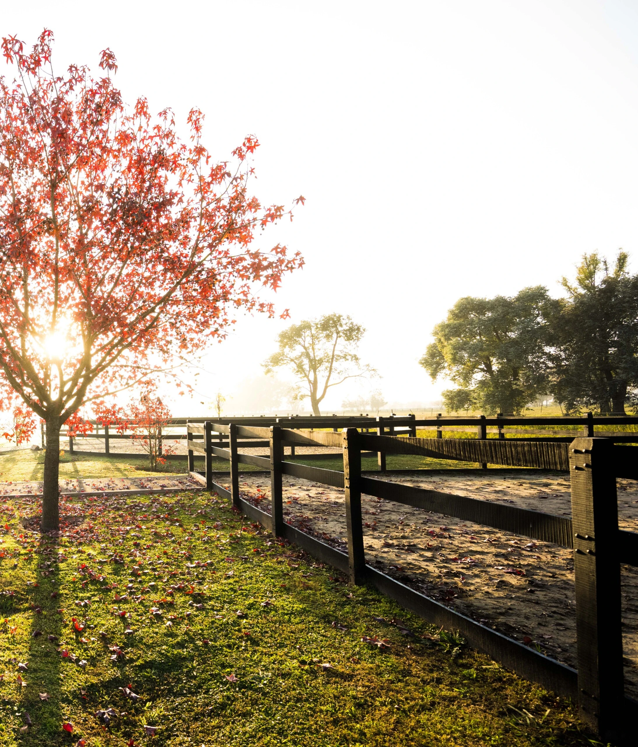 Sus dueños lo definen como un "club hípico y haras boutique".