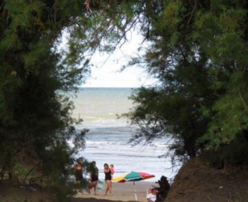 La playa y el bosque más tranquilos de la Costa: el paraíso bonaerense que está a 4 horas de CABA y es ideal para el verano