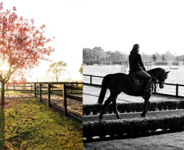 Cómo es la "estancia escondida" a una hora del Obelisco para ser "vaquero por un día": salto ecuestre, caballos y estilo "campestre americano" de lujo