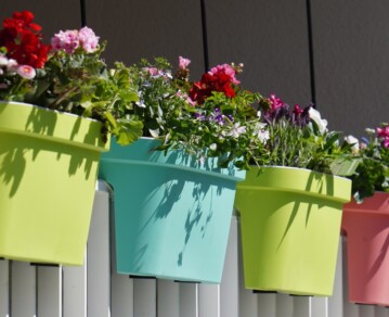 Plantas ideales para el balcón: especies que resisten sol, viento y poca agua