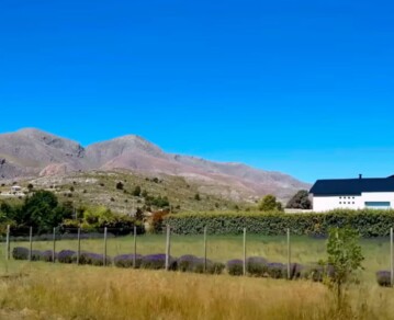 El refugio bonaerense entre sierras y arroyos, a pocas horas de CABA, donde parece que el tiempo se detuvo