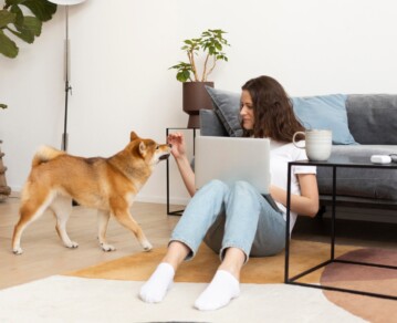 Cómo eliminar los malos olores del hogar con soluciones naturales