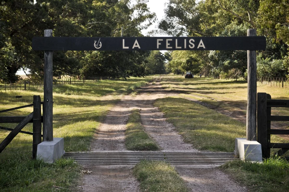 Juan Carlos Harriott