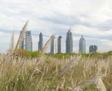 El pulmón verde de CABA que tiene 307 especies de aves y fue declarado como “sitio Ramsar”