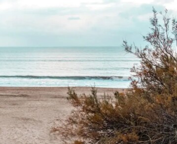 La playa bonaerense comparada con Tulum que además esconde un bosque encantador