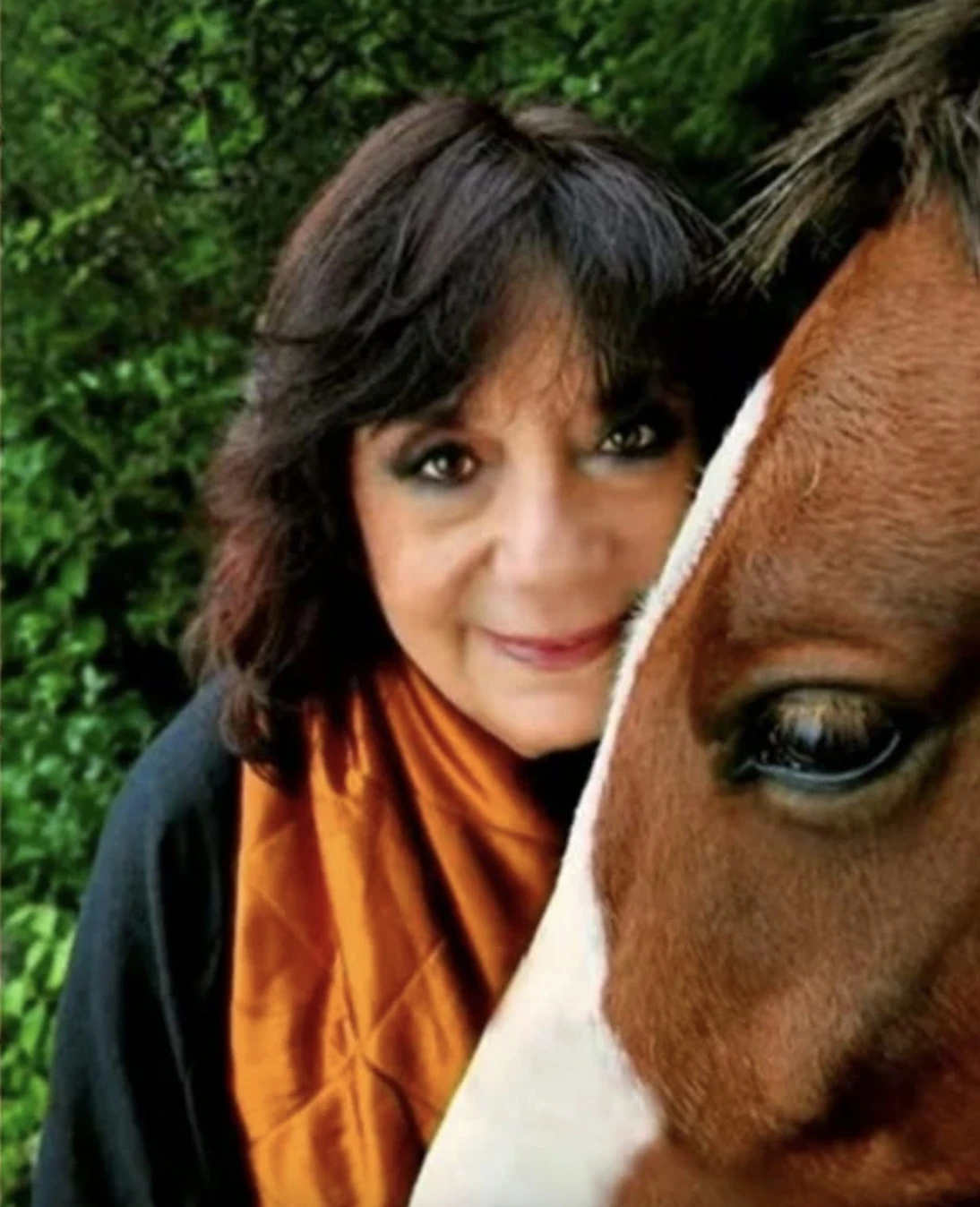 El 2026 es el año del "Caballo de fuego".