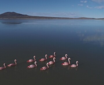 Con laguna y vista infinita: el lugar argentino poco conocido que fue declarado “sitio Ramsar”