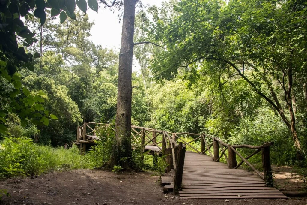 Reserva Los Robles: el oasis natural a menos de una hora de CABA con lagunas, bosque y camping