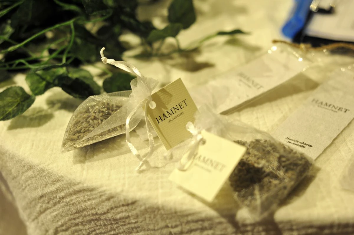 Estreno en Argentina de Hamnet-04