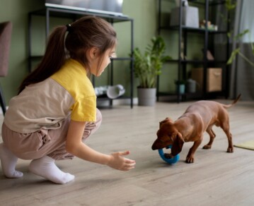 Cómo estimular mentalmente a tu perro en casa: 7 juegos simples para que no se aburra ni rompa todo