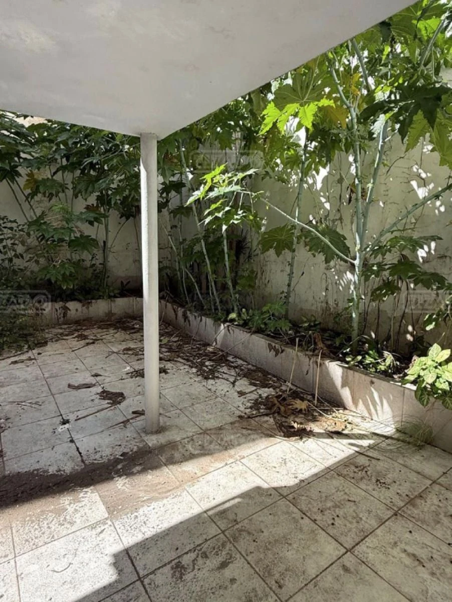 Atelier de Jorge Ibáñez