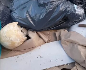 Misterio en Mar del Plata: la hipótesis sobre la calavera humana que apareció frente al golf