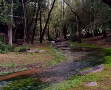 Bosque, arroyo y senderos: el refugio natural a menos de una hora de Córdoba ideal para el verano