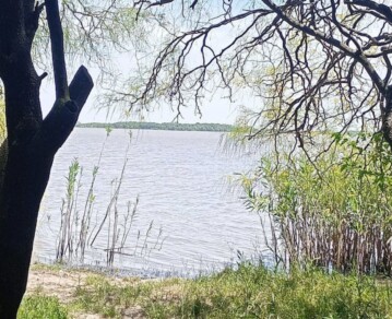 Bosque y lagunas: el destino a una hora de CABA ideal para conectar con la naturaleza