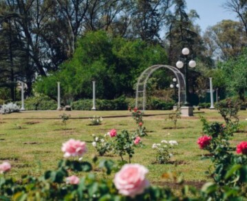 No es en Palermo: el rosedal argentino que tiene más de 300 ejemplares que pocos conocen