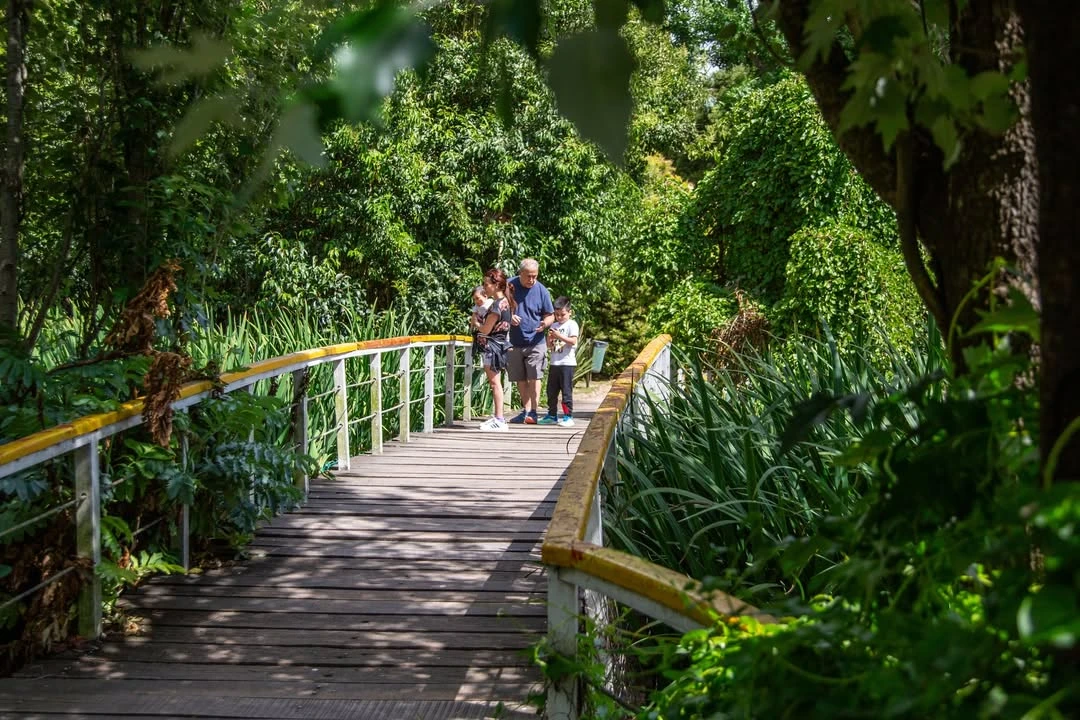 El bioparque no se presenta igual todo el año. En primavera y verano, la actividad de las aves es mayor y la vegetación alrededor de la laguna adquiere más densidad. En otoño e invierno, algunas especies migran y otras reducen su movimiento, lo que modifica el paisaje y la experiencia del recorrido.