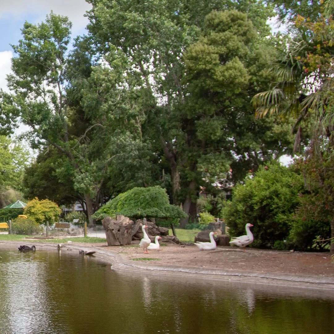 Así es el bioparque por dentro. 