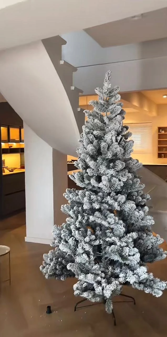 Una foto de diciembre, cuando decoraron la casa por Navidad. 