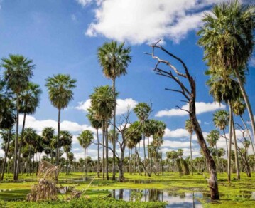 El oasis argentino natural que pocos conocen y es una de las Siete Maravillas Naturales del país