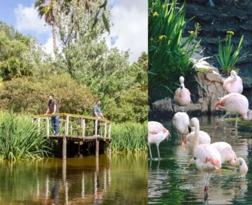 bioparque con flamentos en buenos aires