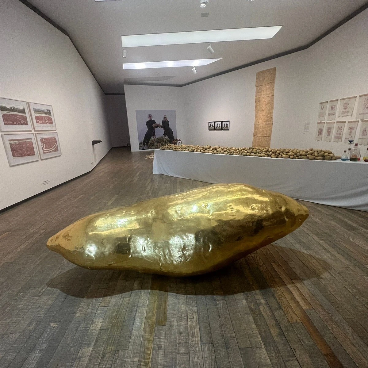 El museo de la Fundación Proa. 