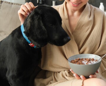 ¿Es mejor cocinarle a tu perro o gato? Lo que tenés que saber antes de reemplazar el alimento balanceado