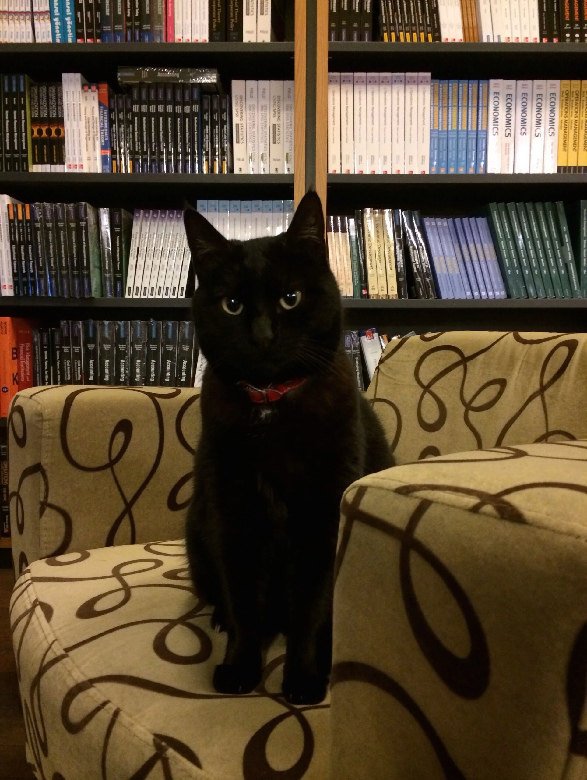 En Argentina, la frase para denominar al viernes 13 es "no te cases ni te embarques". 