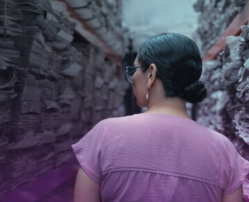 Qué ver hoy en Netflix: el impactante caso real que ya da que hablar en Argentina y el documental que sorprende