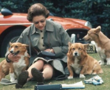 El insólito plan que se filtró sobre el futuro de los perros de Isabel II que sacude a la realeza: "Grotesco y descabellado"