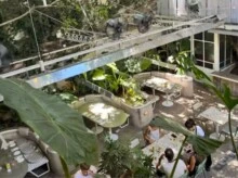 El restaurante de Belgrano construido alrededor de dos árboles centenarios-900 metros cuadrados de jardín sobre avenida Libertador