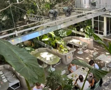 El restaurante de Belgrano construido alrededor de dos árboles centenarios-900 metros cuadrados de jardín sobre avenida Libertador