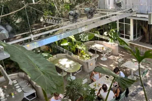 El restaurante de Belgrano construido alrededor de dos árboles centenarios-900 metros cuadrados de jardín sobre avenida Libertador