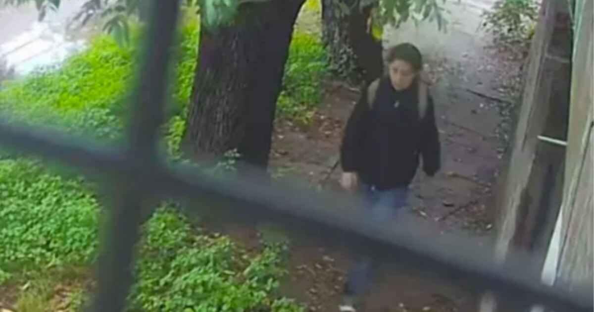 Qué muestran el video y las cartas que dejó Maitena Garófalo antes de desaparecer: la reconstrucción de sus últimas horas