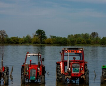 Alerta máxima por la llegada de "Súper El Niño": cuáles serían sus efectos climáticos y por qué genera preocupación