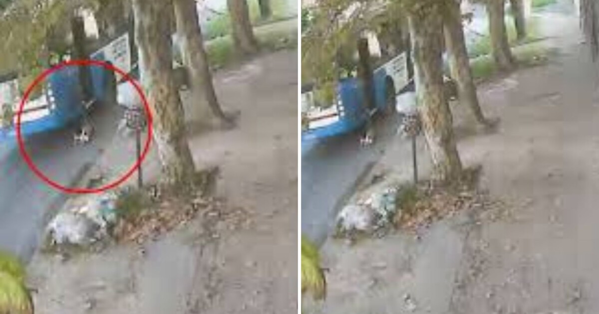 Horror en Villa Fiorito: cuál es el estado del nene que fue arrastrado una cuadra por un colectivo