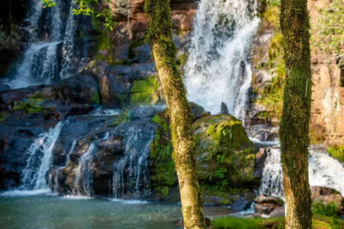 El encantador pueblo argentino distinguido por ONU Turismo que combina selva, yerba mate y naturaleza